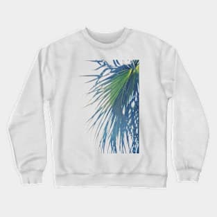 Palm Reverie Crewneck Sweatshirt